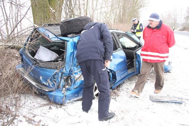 Subaru przeleciało nad ścieżką dla rowerów (zdjęcia)