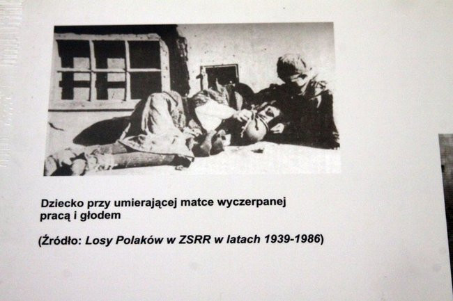 Ta wystawa to lekcja historii (zdjęcia)