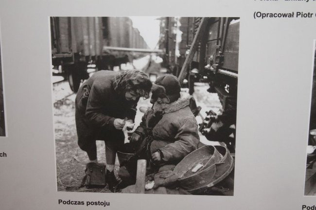 Ta wystawa to lekcja historii (zdjęcia)