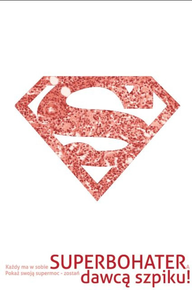 Zobacz plakaty wykonane przez leszczyńską młodzież