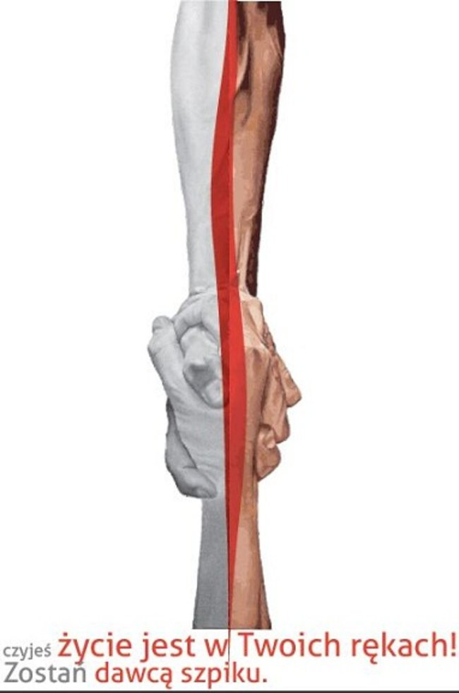 Zobacz plakaty wykonane przez leszczyńską młodzież