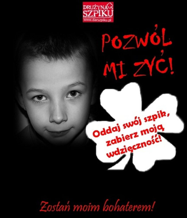 Zobacz plakaty wykonane przez leszczyńską młodzież