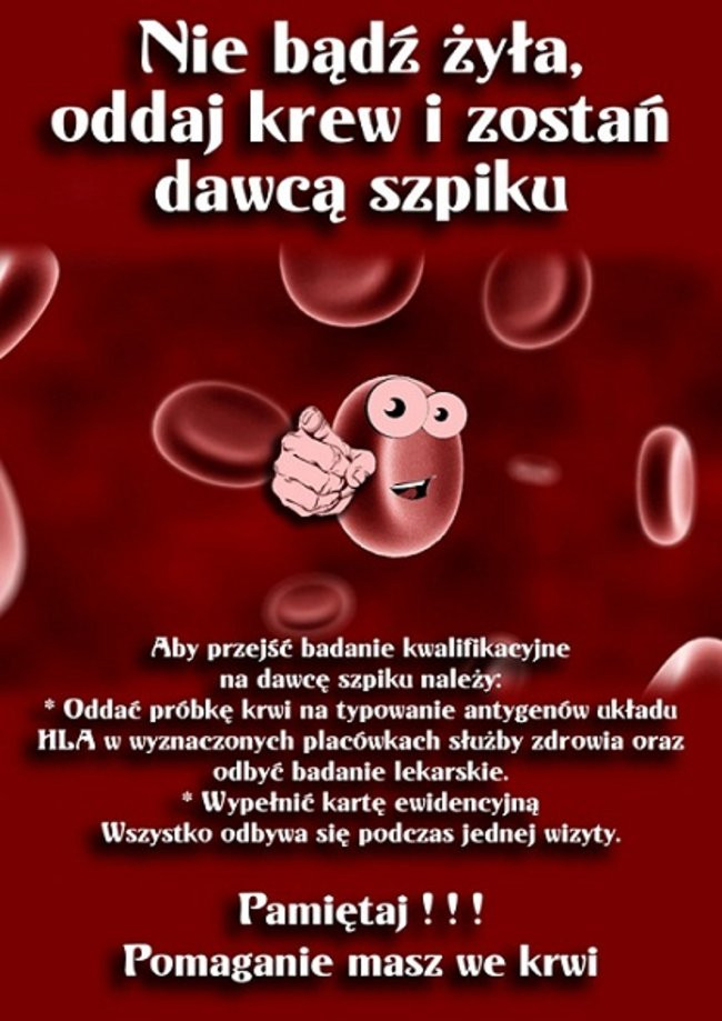 Zobacz plakaty wykonane przez leszczyńską młodzież