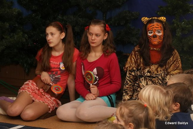 Miś Eryk na drodze (zdjęcia)