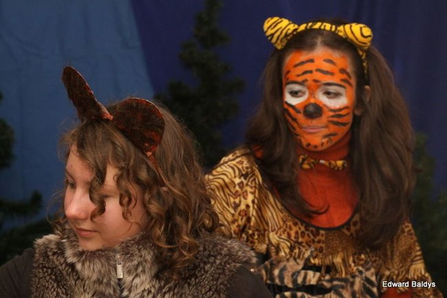 Miś Eryk na drodze (zdjęcia)