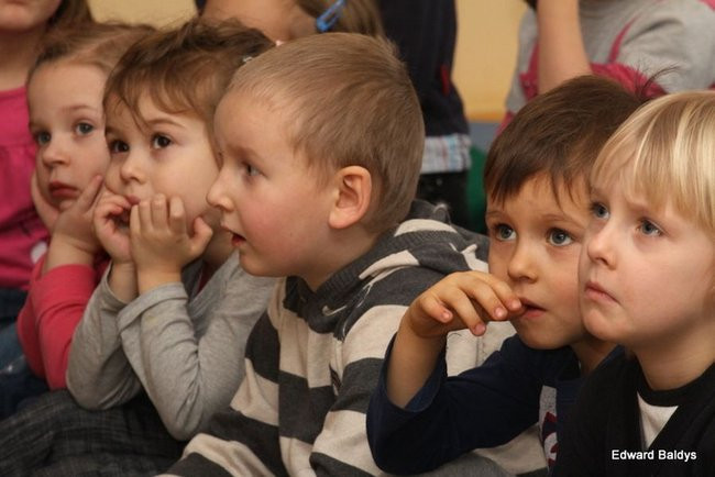 Miś Eryk na drodze (zdjęcia)