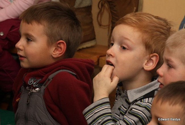 Miś Eryk na drodze (zdjęcia)