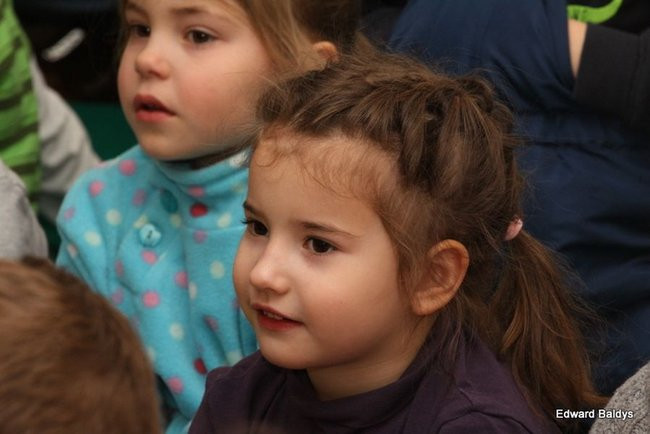 Miś Eryk na drodze (zdjęcia)