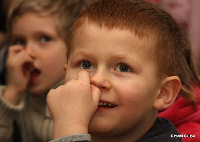 Miś Eryk na drodze (zdjęcia)