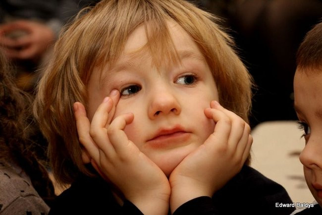 Miś Eryk na drodze (zdjęcia)