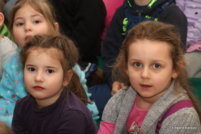 Miś Eryk na drodze (zdjęcia)