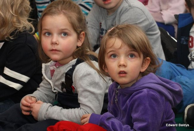 Miś Eryk na drodze (zdjęcia)