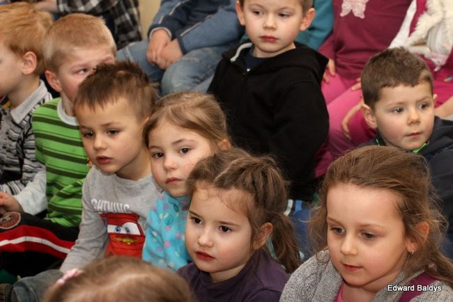 Miś Eryk na drodze (zdjęcia)