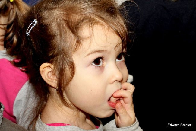 Miś Eryk na drodze (zdjęcia)