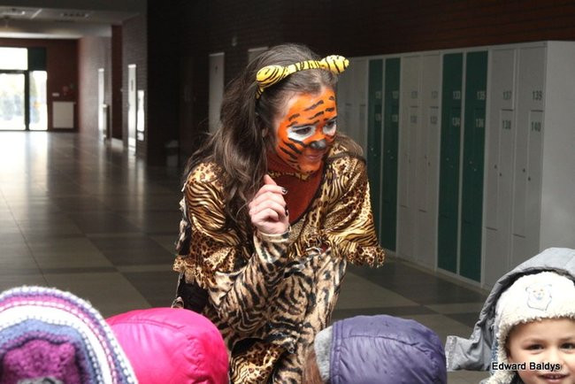 Miś Eryk na drodze (zdjęcia)