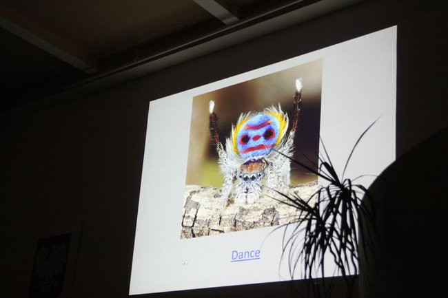 Noc Naukowców w I LO (zdjęcia)