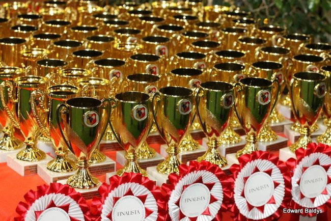 Brutus i Zuzia zwycięzcami wystawy psów (zdjęcia)