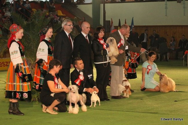 Brutus i Zuzia zwycięzcami wystawy psów (zdjęcia)