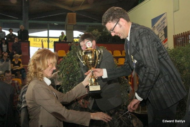 Brutus i Zuzia zwycięzcami wystawy psów (zdjęcia)