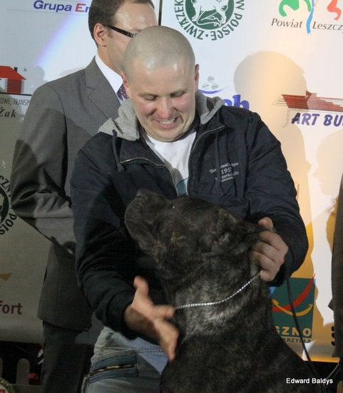 Brutus i Zuzia zwycięzcami wystawy psów (zdjęcia)