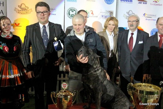 Brutus i Zuzia zwycięzcami wystawy psów (zdjęcia)