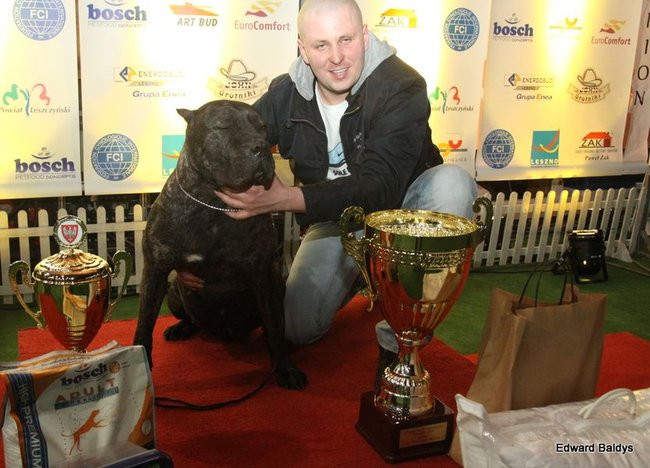 Brutus i Zuzia zwycięzcami wystawy psów (zdjęcia)