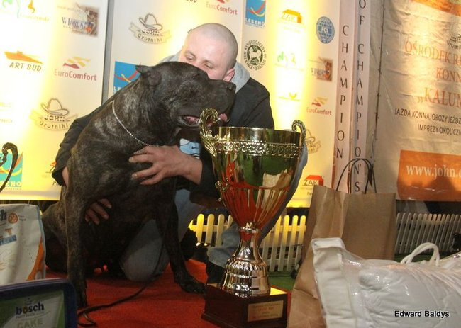 Brutus i Zuzia zwycięzcami wystawy psów (zdjęcia)