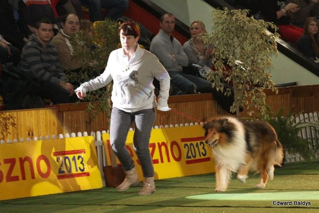 Brutus i Zuzia zwycięzcami wystawy psów (zdjęcia)