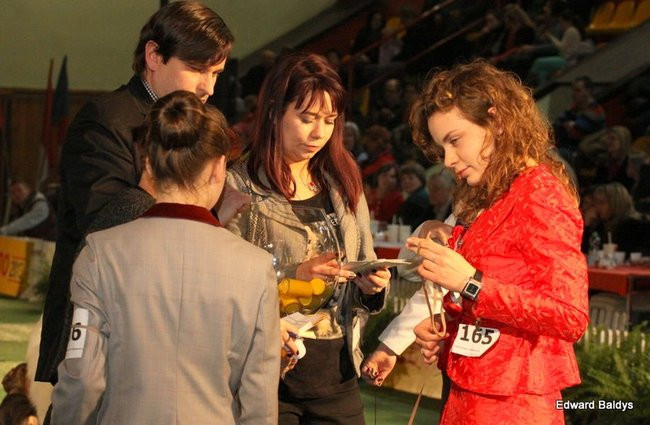 Brutus i Zuzia zwycięzcami wystawy psów (zdjęcia)