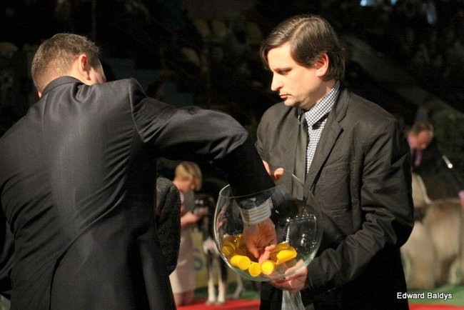 Brutus i Zuzia zwycięzcami wystawy psów (zdjęcia)