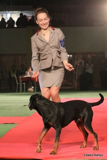 Brutus i Zuzia zwycięzcami wystawy psów (zdjęcia)