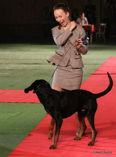 Brutus i Zuzia zwycięzcami wystawy psów (zdjęcia)