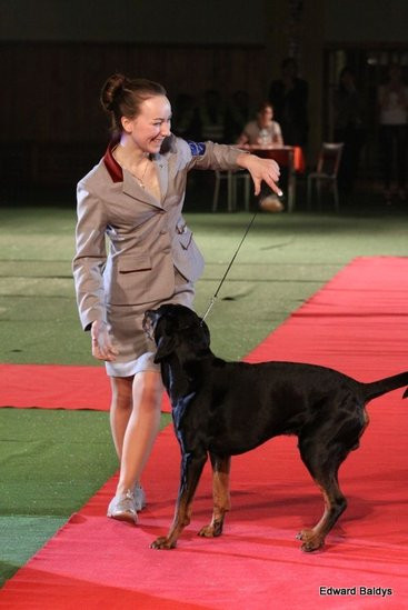 Brutus i Zuzia zwycięzcami wystawy psów (zdjęcia)