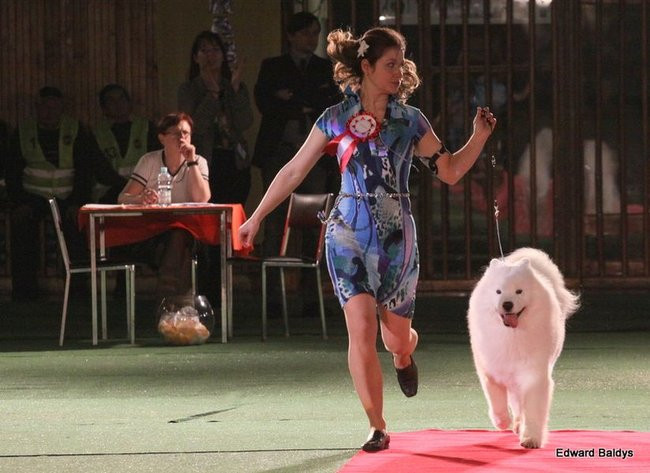 Brutus i Zuzia zwycięzcami wystawy psów (zdjęcia)