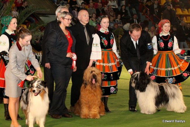 Brutus i Zuzia zwycięzcami wystawy psów (zdjęcia)