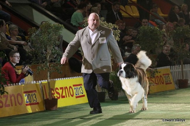 Brutus i Zuzia zwycięzcami wystawy psów (zdjęcia)