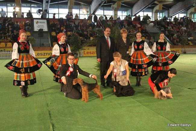 Brutus i Zuzia zwycięzcami wystawy psów (zdjęcia)