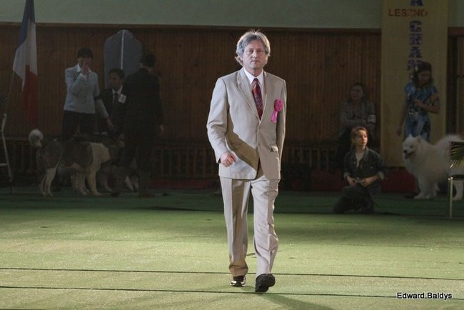 Brutus i Zuzia zwycięzcami wystawy psów (zdjęcia)