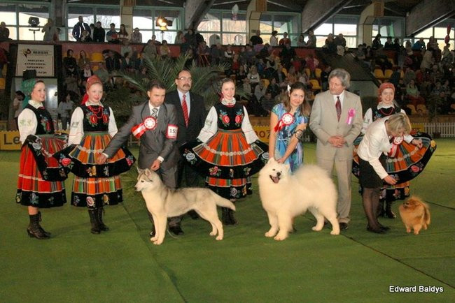Brutus i Zuzia zwycięzcami wystawy psów (zdjęcia)