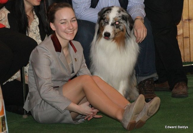 Brutus i Zuzia zwycięzcami wystawy psów (zdjęcia)