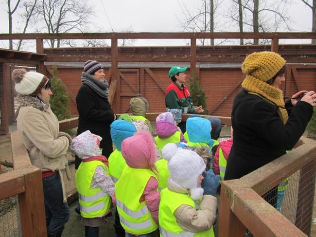 Przedszkolaki w mini-ZOO