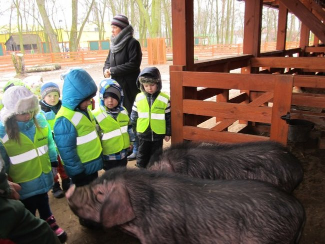 Przedszkolaki w mini-ZOO