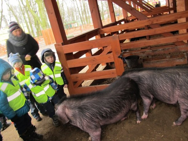Przedszkolaki w mini-ZOO