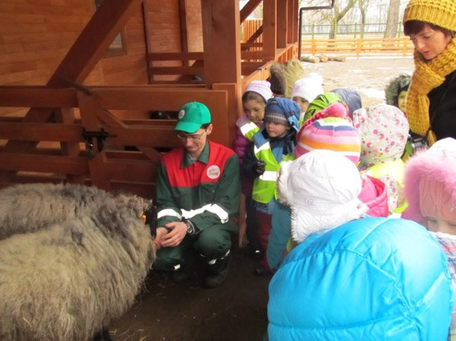 Przedszkolaki w mini-ZOO