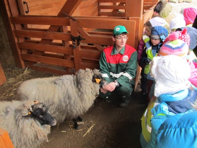 Przedszkolaki w mini-ZOO