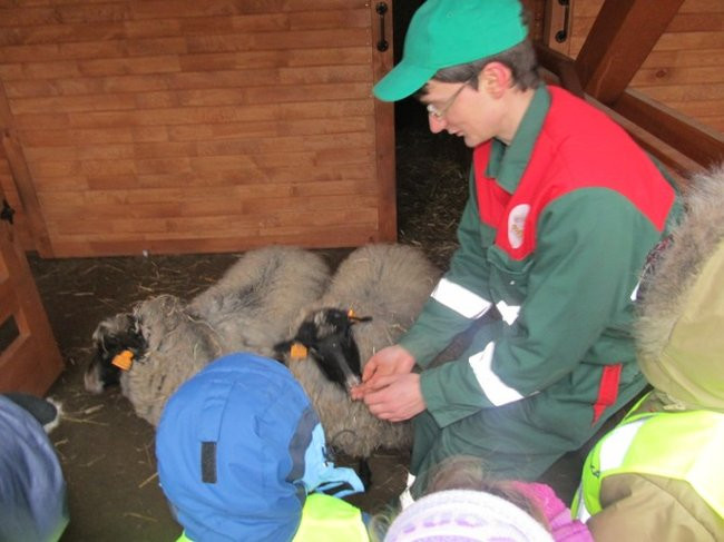 Przedszkolaki w mini-ZOO