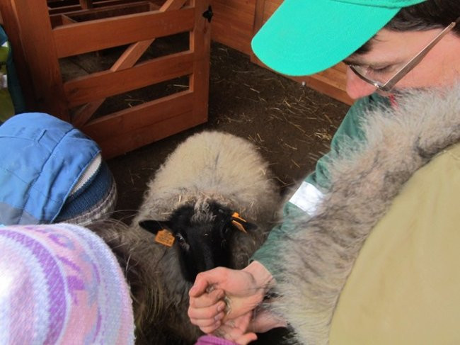 Przedszkolaki w mini-ZOO