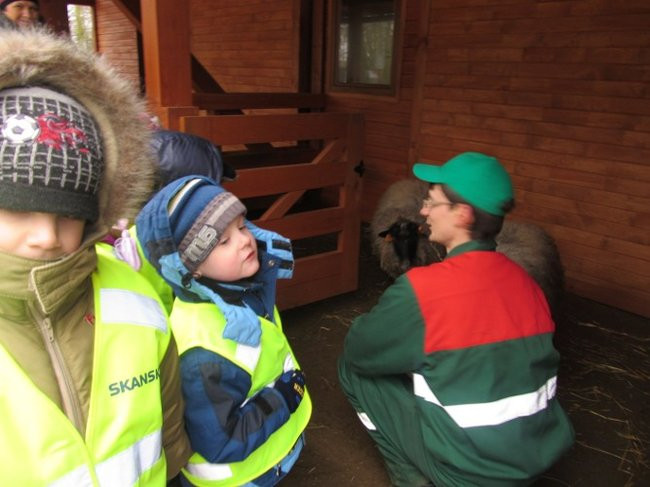 Przedszkolaki w mini-ZOO