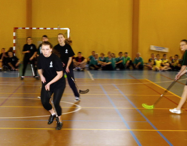 Roczek hali we Włoszakowicach (zdjęcia)