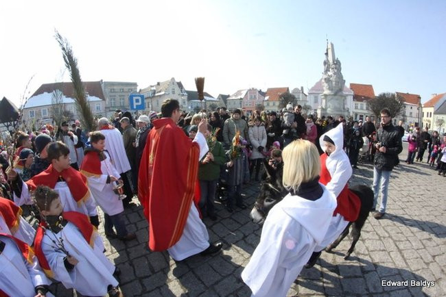 Wjazd Jezusa do Rydzyny (zdjęcia)